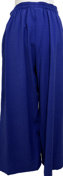 Royal Blue Pant Set
