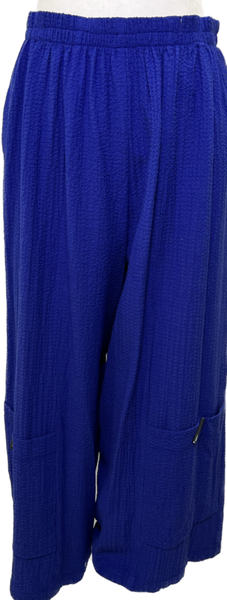 Royal Blue Pant Set